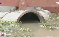 Siêu máy bơm ở TP.HCM: "Không hết ngập, không lấy tiền"