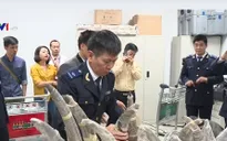 Thu giữ sừng tê giác nhập lậu trị giá hơn 2 triệu USD