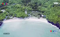 VTVTrip: Cát Bà - Viên ngọc xanh giữa Vịnh Bắc Bộ