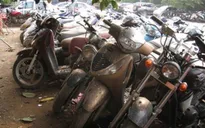 Bán đấu giá lô xe máy vi phạm giao thông tại TP.HCM