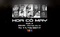 Hồ Ngọc Hà không đóng Hoa cỏ may phần 3: Lý do không chỉ vì cát-xê