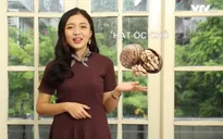 Hạt óc chó - "Thần dược" cho bệnh nhân tiểu đường