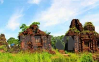 Phát hiện một đường cổ trong lòng đất ở Thánh địa Mỹ Sơn