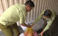 Phát hiện hơn 1.800kg nội tạng động vật không rõ nguồn gốc