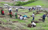 "Choáng" với màn trồng 66 triệu cây xanh trong nửa ngày ở Ấn Độ