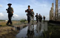 Myanmar bác bỏ cuộc điều tra của LHQ về tra tấn người Rohingya