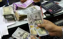 Kiều hối toàn cầu đạt gần 500 tỷ USD mỗi năm