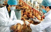 Tổ chức Tháng tiêu độc, khử trùng tại TP.HCM