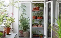 10 ý tưởng biến ban công thành khu vườn nhỏ xinh