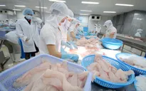 Việt Nam đã chủ động về giá xuất khẩu cá tra