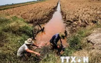 Khoa học công nghệ phát triển ĐBSCL cần đi sâu vào đời sống