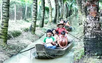 Trải nghiệm thú vị tại vườn dừa ở cù lao Tân Lộc, Cần Thơ