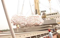 Thêm nhiều hợp đồng nhập khẩu gạo của Việt Nam trong quý II