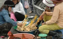 Đề xuất không bán gia cầm sống chưa giết mổ tại chợ