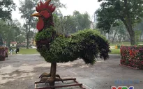Ngộ nghĩnh 12 con giáp khổng lồ bằng cây xanh ở Hà Nội
