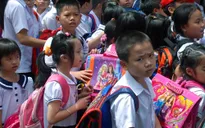 80% học sinh tiểu học ở TP.HCM được học bán trú trong năm học mới