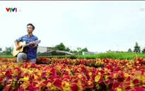 Sa Đéc - Thành phố của tình yêu và sắc hoa
