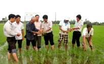Sóc Trăng giúp Đảng viên thoát nghèo