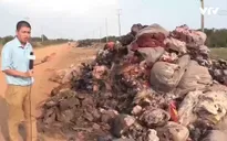 Rác thải công nghiệp ngập tỉnh lộ Long An: Đổ... rồi đốt... rồi lại đổ!