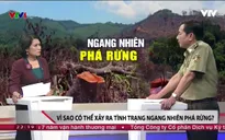 Vì sao xảy ra tình trạng ngang nhiên phá rừng?