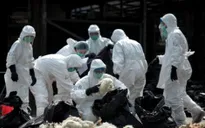 Trung Quốc ghi nhận cúm gia cầm H7N9 ở người