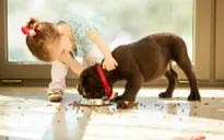 Nên cho trẻ nhỏ ăn thực phẩm… rơi xuống sàn