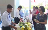 Cơ hội mở rộng thị trường phân phối sản phẩm an toàn