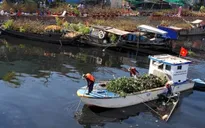 Nhọc nhằn nghề vớt rác trên sông