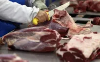 Brazil: Hai tập đoàn dính bê bối thịt bẩn thiệt hại 1,74 tỷ USD