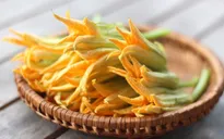 Café sáng với VTV3: Khám phá món ngon tại bãi giữa sông Hồng