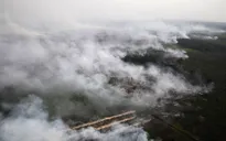 Indonesia phạt nặng các công ty gây cháy rừng