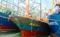 17 tàu vỏ thép hỏng nằm bờ ở Bình Định: Không xử lý nghiêm sẽ gây ảnh hưởng lớn