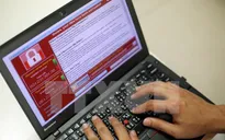 TP.HCM họp triển khai các biện pháp phòng chống mã độc WannaCry