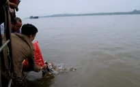 Đề nghị Bộ Công an vào cuộc vụ phóng sinh cá chim trắng