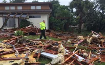 Bị "cuồng phong" Irma càn quét, Tổng thống Mỹ tuyên bố thảm họa lớn ở Florida