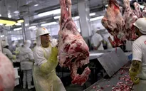 Brazil và vụ bê bối thực phẩm tồi tệ nhất lịch sử hiện đại