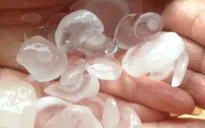 Huyện Ba Vì, Sơn Tây bất ngờ xuất hiện mưa đá
