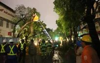 Hà Nội: Cành cây cổ thụ gãy làm 2 người bị thương sau cơn mưa