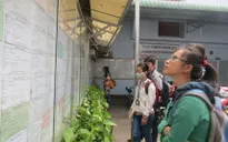 Kỹ năng cần thiết để sớm có việc làm sau khi ra trường