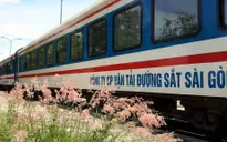 Chạy thêm 48 đoàn tàu phục vụ hành khách trong dịp Tết Dương lịch 2019