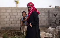 EU cam kết hỗ trợ FAO 12 triệu Euro đối phó nạn đói tại Yemen