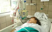 Hà Nội: Khởi tố vụ nhiều người nguy kịch do sử dụng rượu