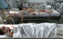 TP.HCM: 18/24 quận, huyện có số ca bệnh sốt xuất huyết tăng cao