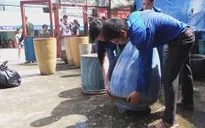 Dịch virus Zika tại Đồng Nai: Nguồn bệnh đã tồn tại trong địa bàn
