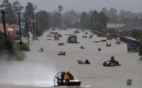 Ít nhất 28 người thiệt mạng do bão tại Houston, Mỹ