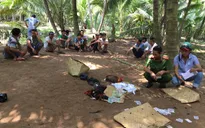 Bến Tre: Phá “nóng” tụ điểm đá gà trong ngày lễ 30/4