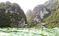 Phát động cuộc thi phim ngắn "Vì một tương lai xanh 2017"