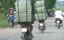Thủ tướng chỉ đạo xử lý nghiêm các vụ buôn lậu thuốc lá