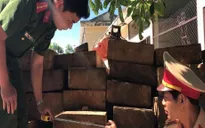 Quảng Ngãi: Bắt ô tô chở gỗ lậu chạy tiền để thoát tội