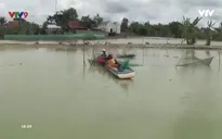 Đang nuôi trồng thủy sản, người dân choáng váng vì dự án lấp kênh